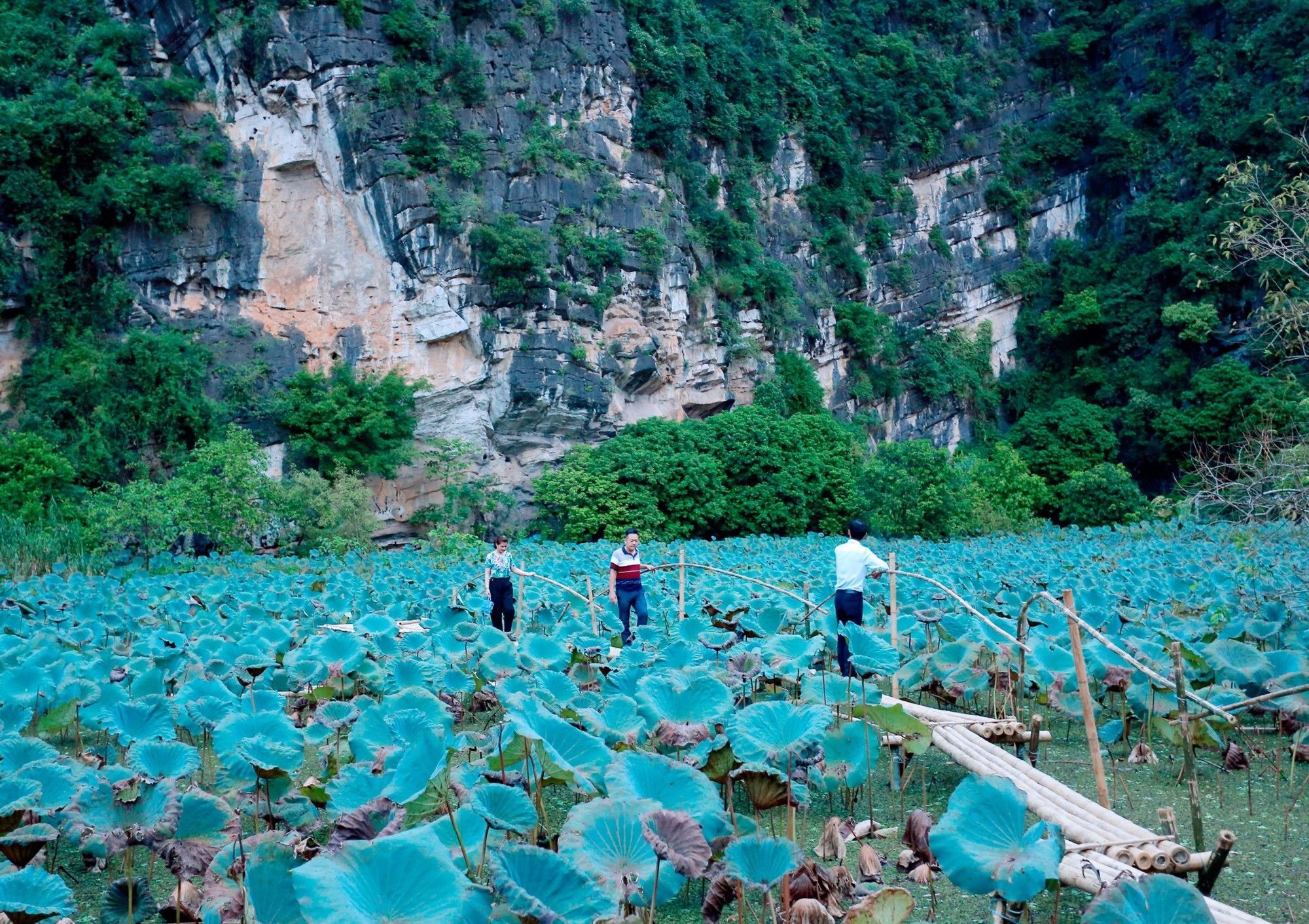 Trang An Heritage Garden Ниньбинь Экстерьер фото